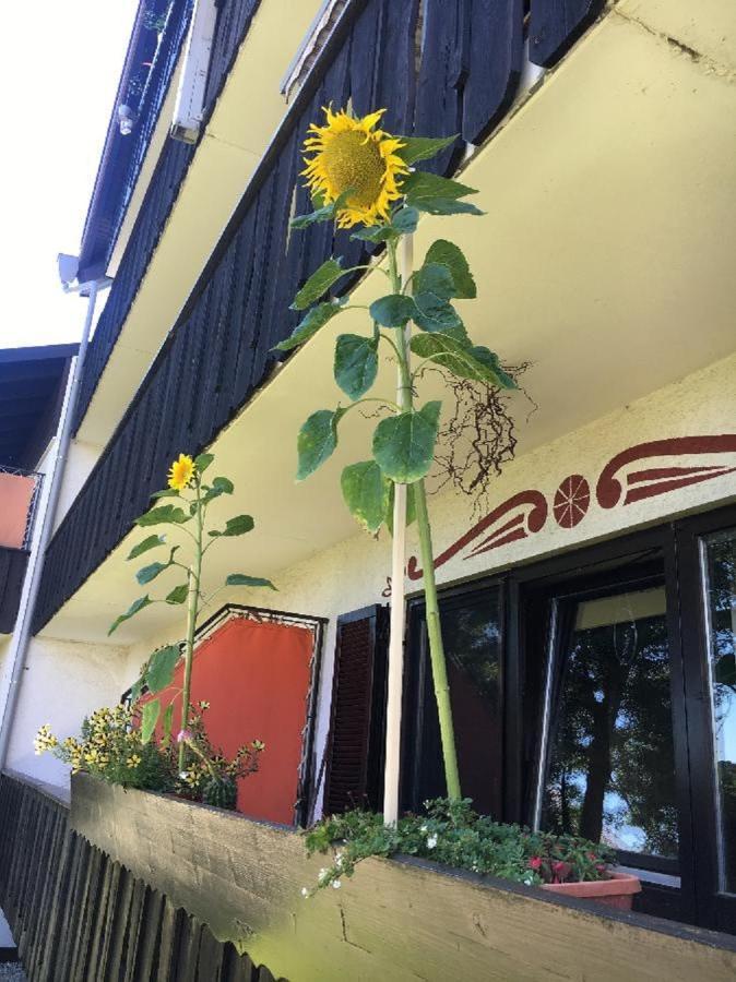 Ferienwohnung Hani Spiegelau Esterno foto