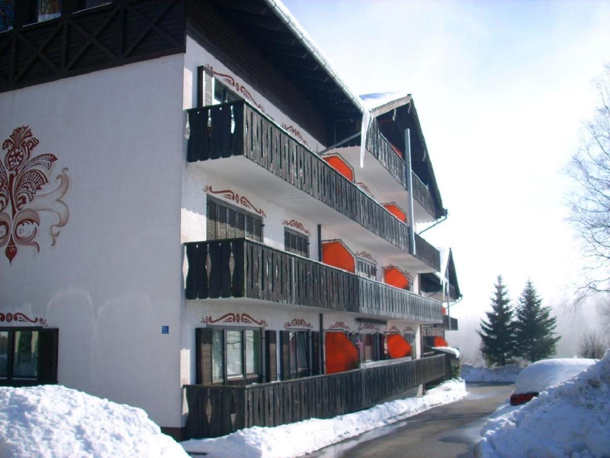 Ferienwohnung Hani Spiegelau Esterno foto